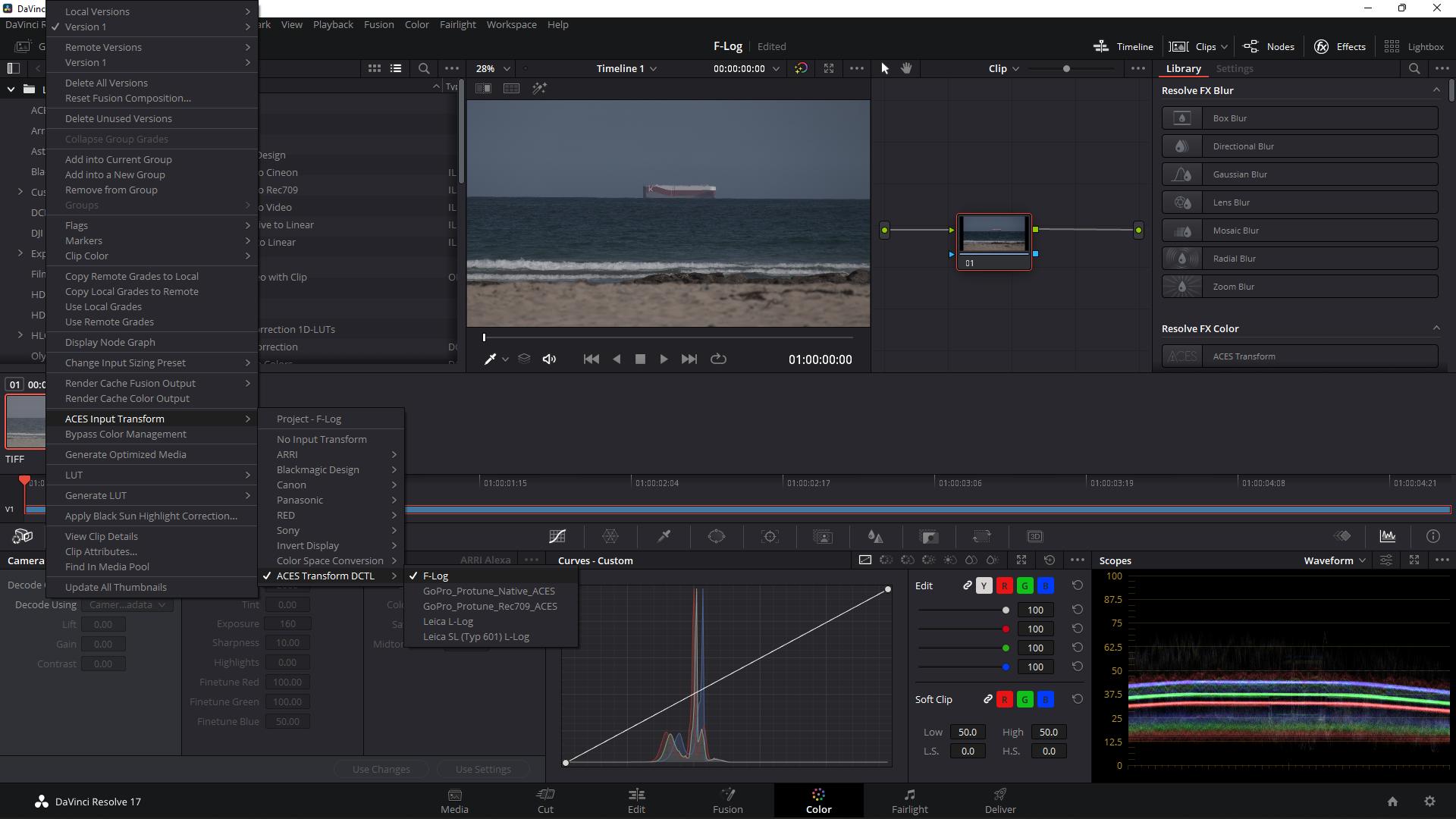 FujiFilm Log Transform - Image 5